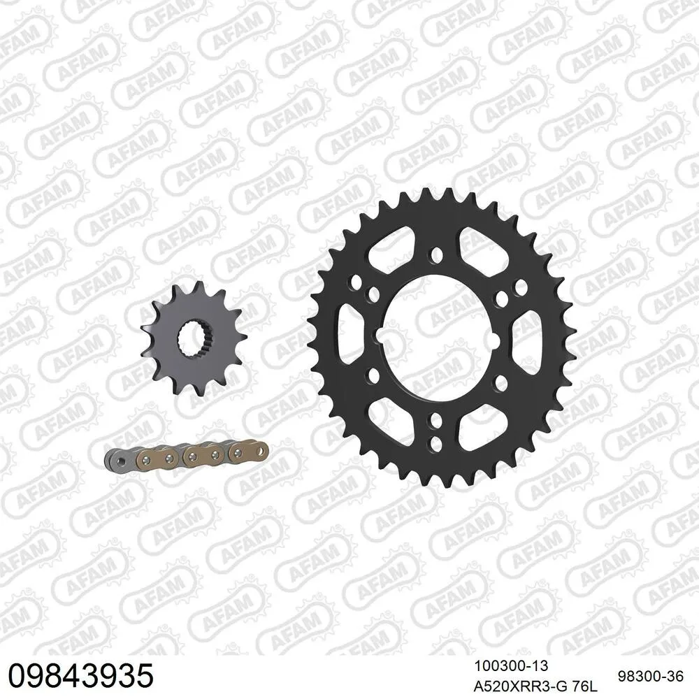 09843935 AFAM Kettensatz Stahl 520 XRR3-G 13x36 - Polaris 400 Trail Blazer 2003 - 09843935