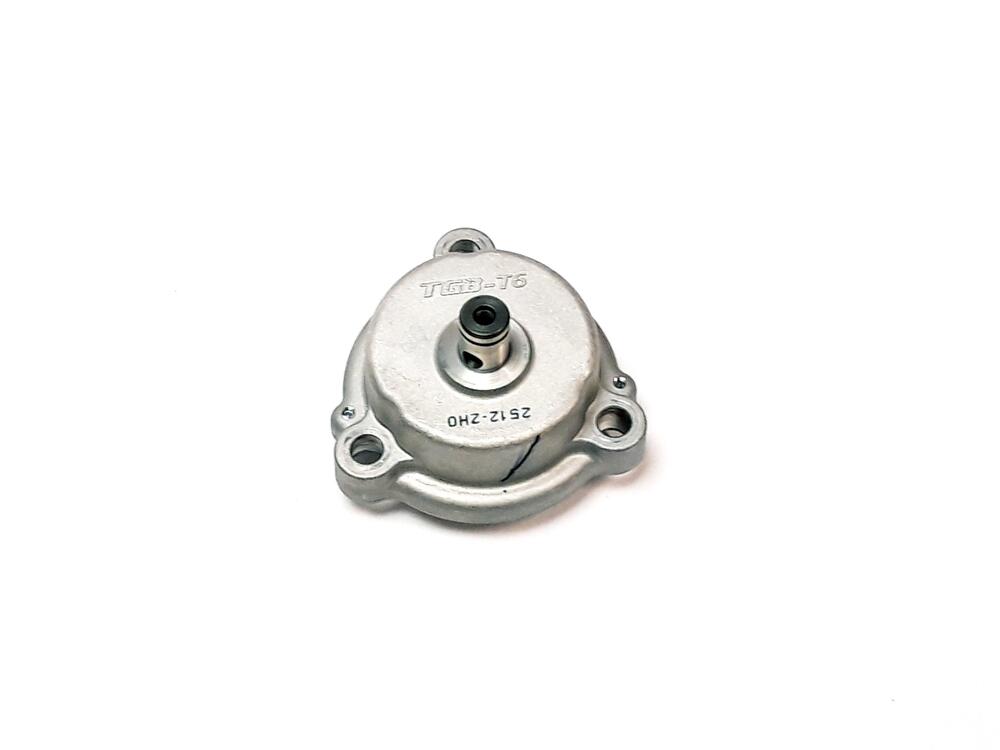 img-20221124-142710 TGB Ölpumpe - 910333