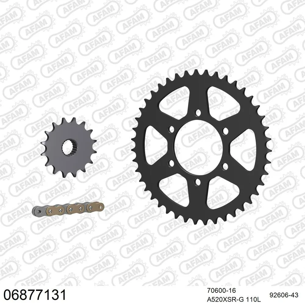 AFAM Kettensatz Stahl 520 XSR-G 16x43 - Laverda 750 Ghost Strike 1998-01 - 06877131