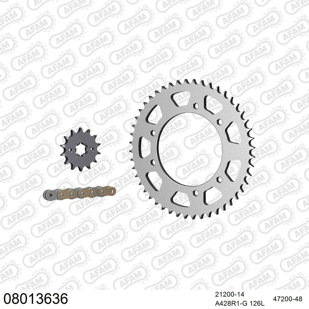 AFAM Kettensatz Stahl 428 R1-G 14x48 - Rieju SMX 125 2002-08 - 08013636