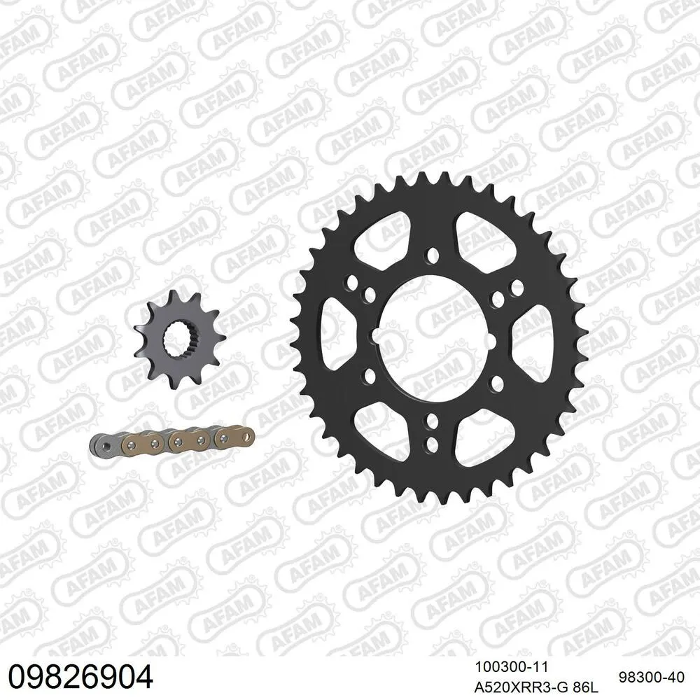 AFAM Kettensatz Stahl 520 XRR3-G 11x40 - Polaris 250 Trail Boss 1994 - 09826904