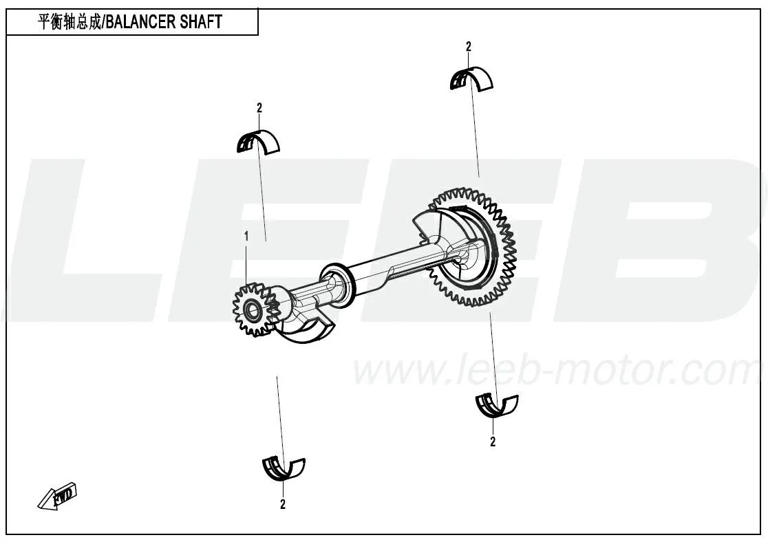Ausgleichswelle Ausgleichswelle