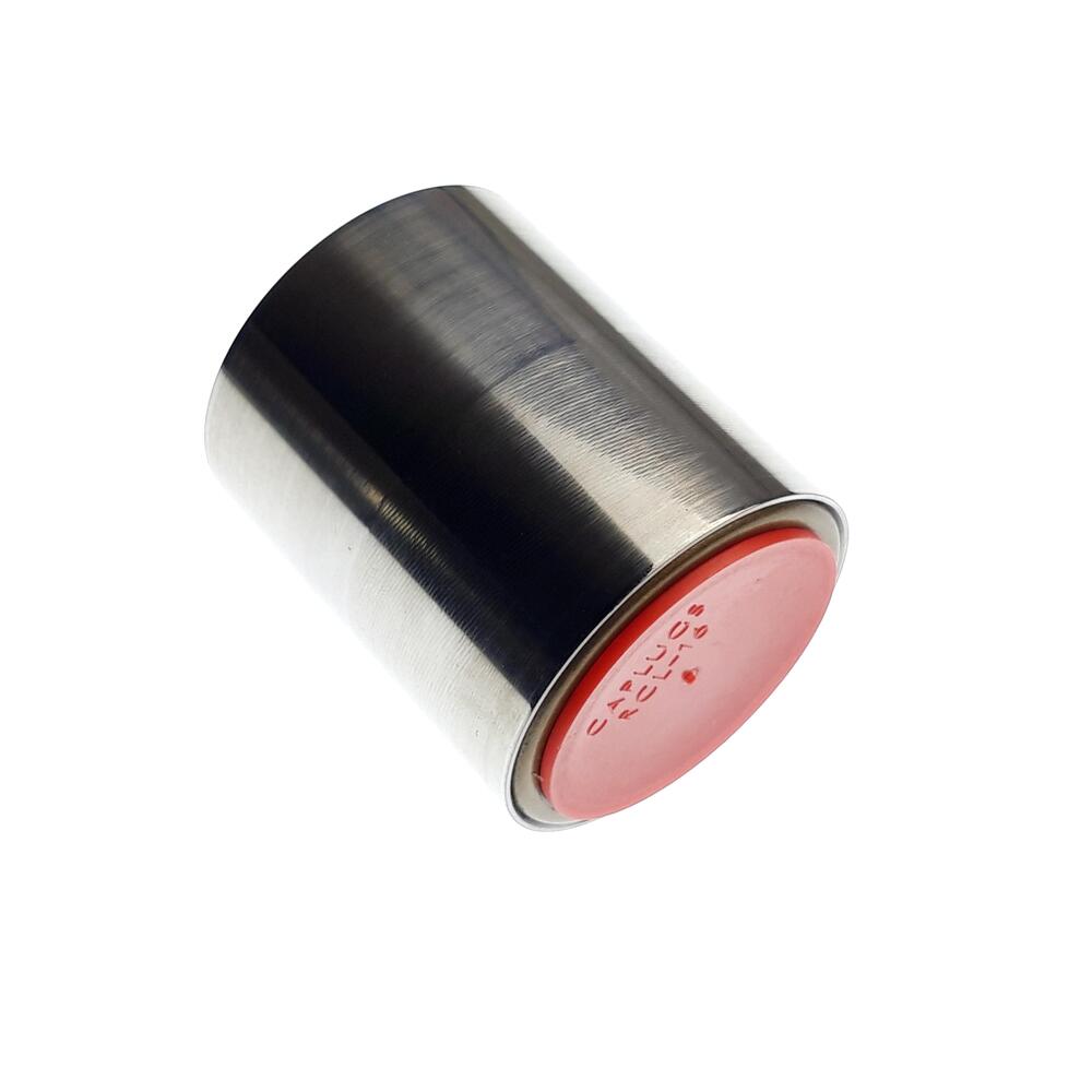 TGB ONE WAY (BEARING) - 493068