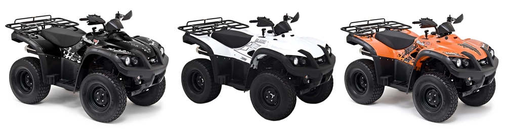 Blade 325 4x2 onroad 2011-12