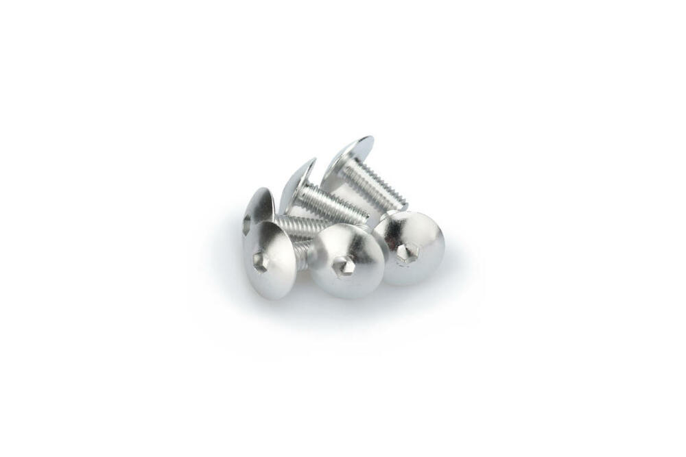 PUIG SCHRAUBEN-KIT (KUPPELFÖRMIG) M6X15MM. SILBER - 0611P