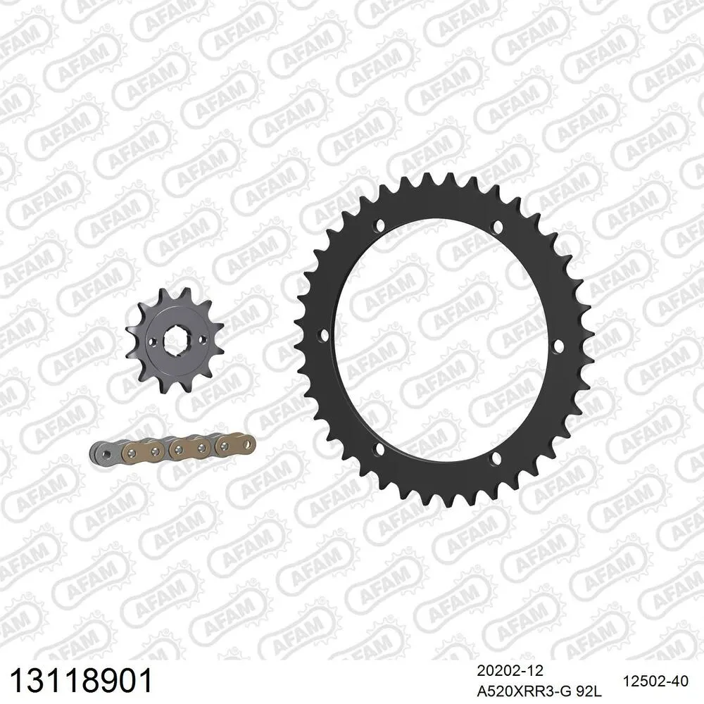 AFAM Kettensatz Stahl 520 XRR3-G 12x40 - Xroads Stinger 170 2003-04 - 13118901