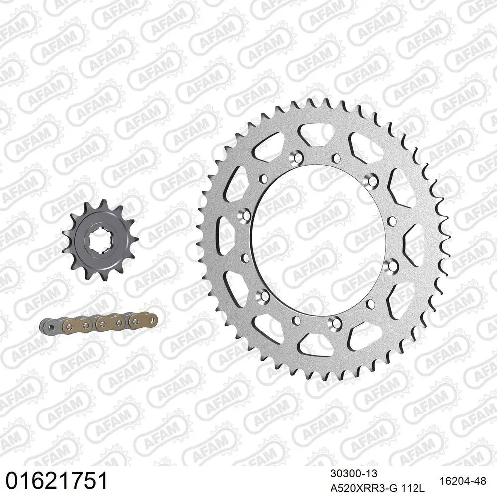 01621751 AFAM Kettensatz Stahl 520 XRR3-G 13x48 - Kawasaki KDX 200 1984-85 - 01621751