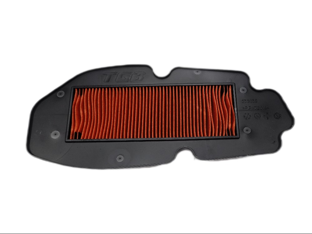 TGB Luftfiltereinsatz - 553782