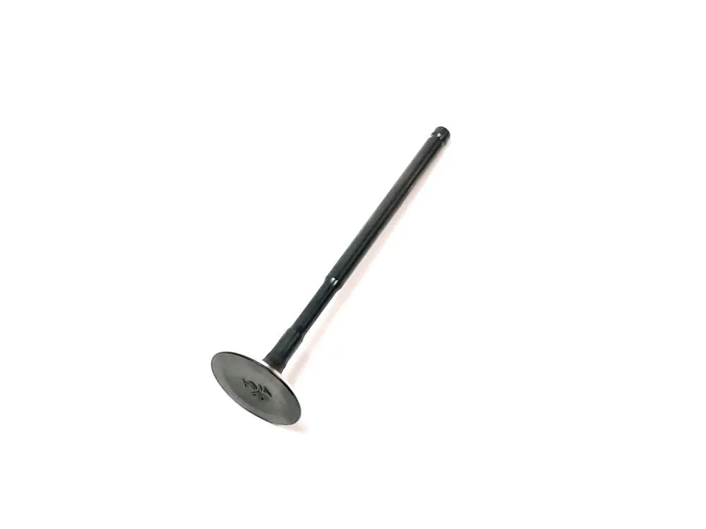 TGB Einlassventil - 923047