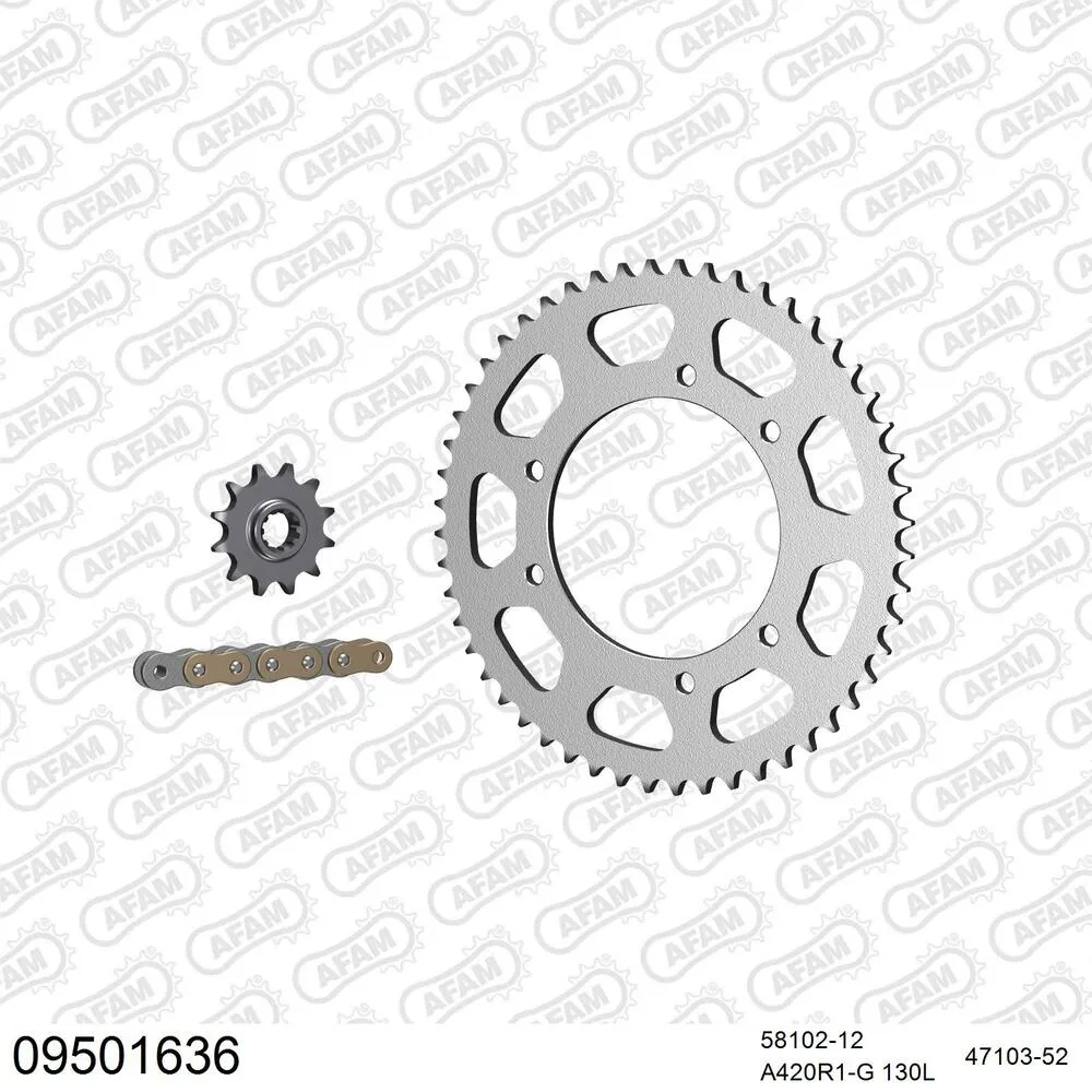 AFAM Kettensatz Stahl 420 R1-G 12x52 - Gasgas SM 50 Rookie 2001-05 - 09501636