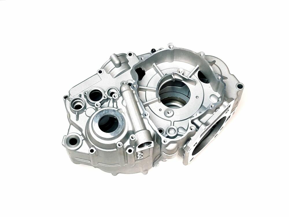 TGB CRANKCASE ASSY - 11000-E12-201