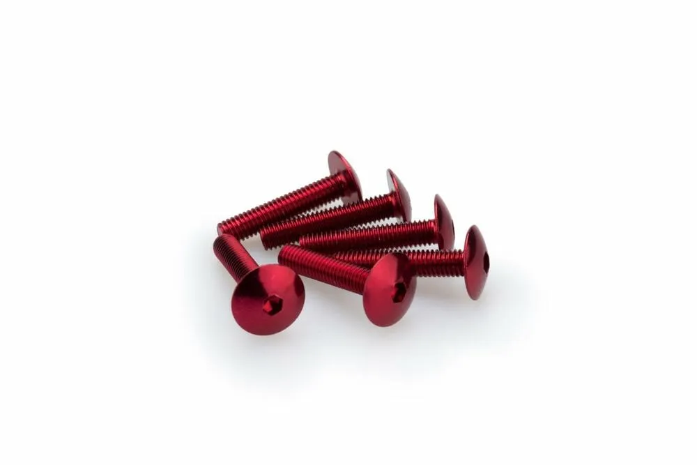 defaulty3uvRTGcJafwT PUIG SCHRAUBEN-KIT (KUPPELFÖRMIG) M6X30MM. ROT - 3995R