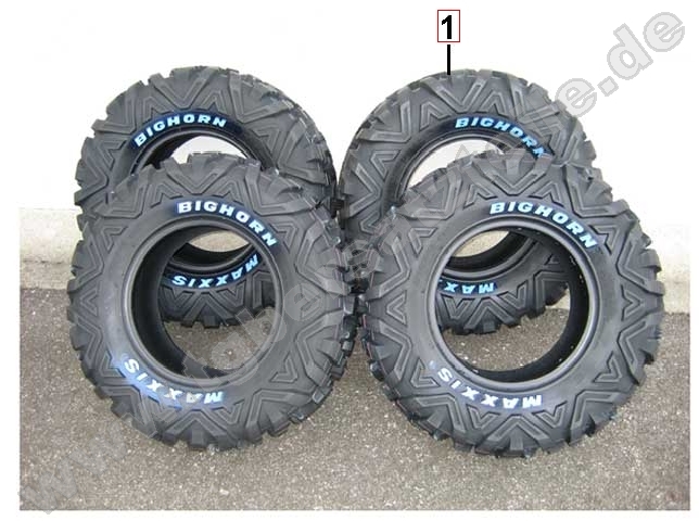 Reifensatz Maxxis Bighorn