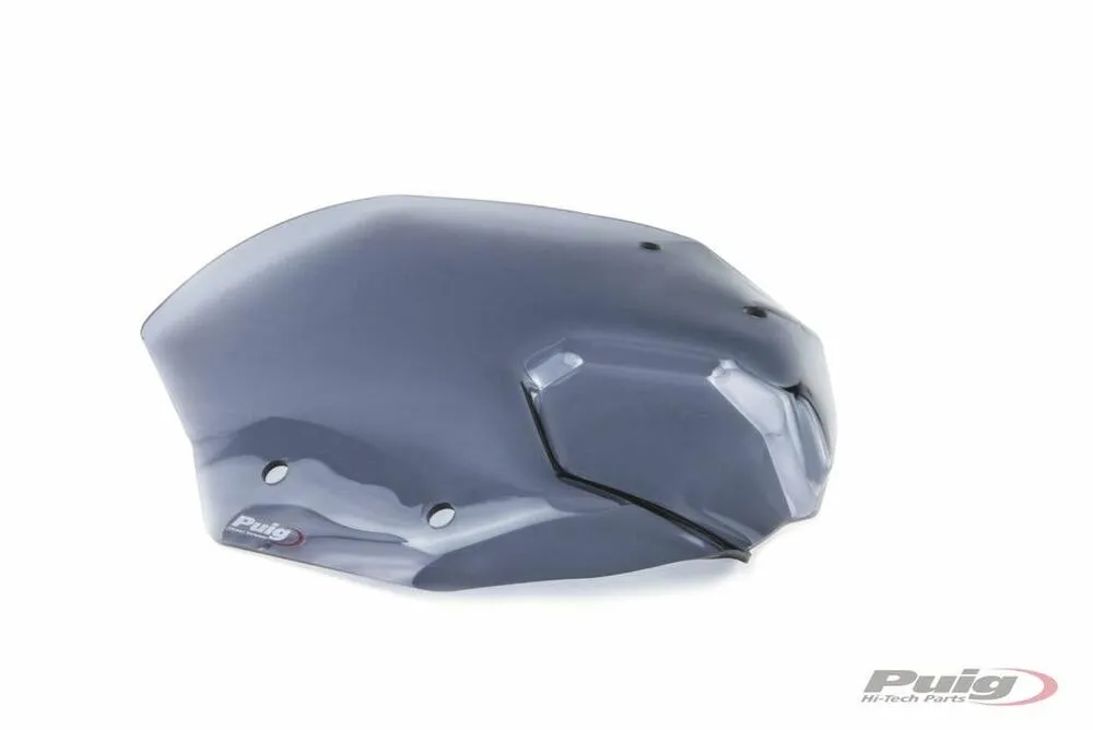 PUIG WIND. NEW GENERATION BMW R1250R 19'- C/GETÖNT - 3623H