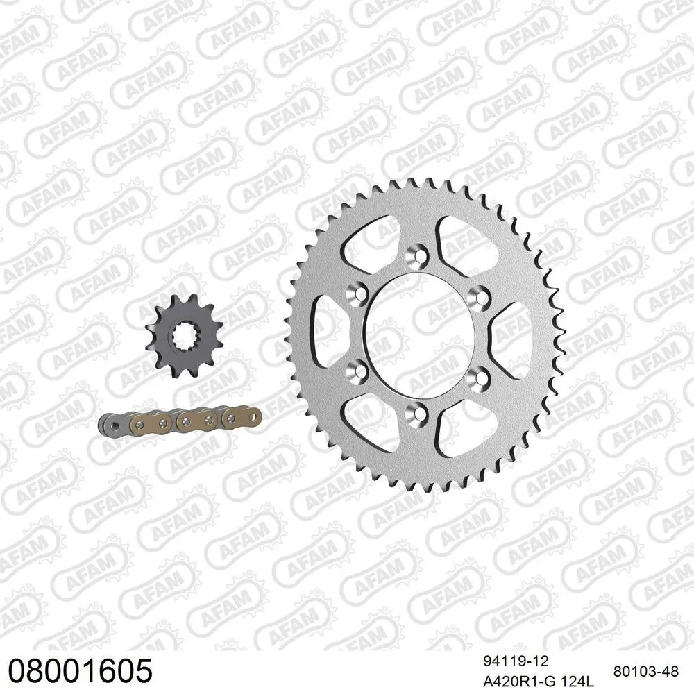 AFAM Kettensatz Stahl 420 R1-G 12x48 - Rieju RR 50 Castrol 1999-02 - 08001605