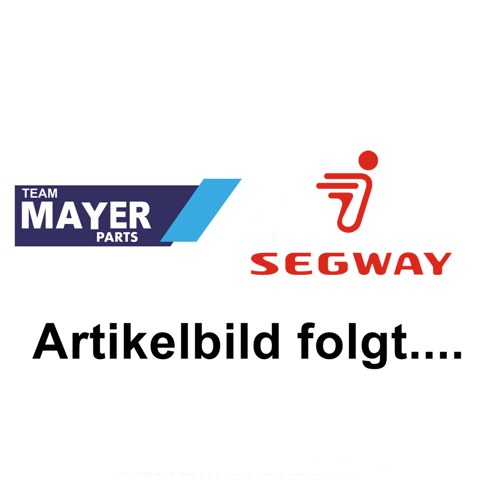 Segway Antriebskeilriemen Bando Snarler CX (935-32.1-26-14.6) - E01-E100001-000-02