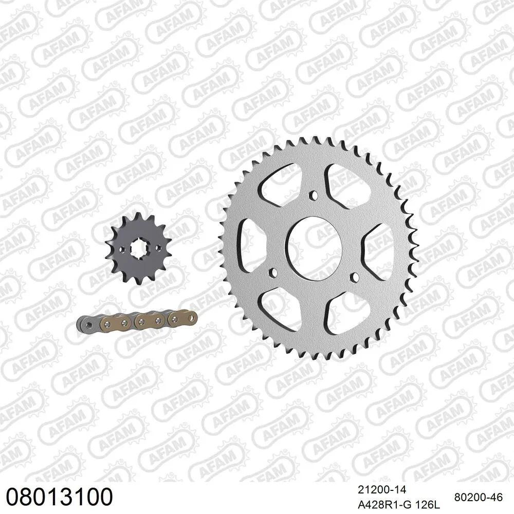 08013100 AFAM Kettensatz Stahl 428 R1-G 14x46 - Rieju RS2 125 Naked 2006-10 - 08013100