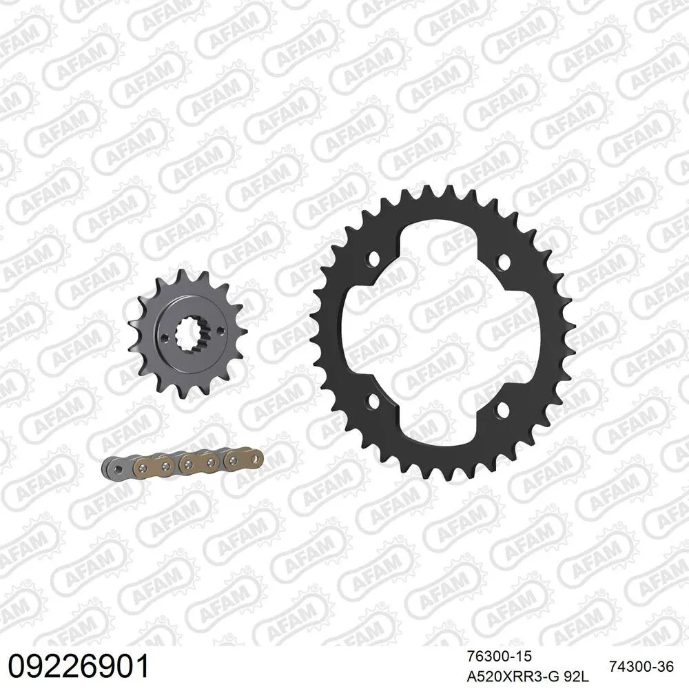 09226901 AFAM Kettensatz Stahl 520 XRR3-G 15x36 - TGB 250 Blade 2008-09 - 09226901