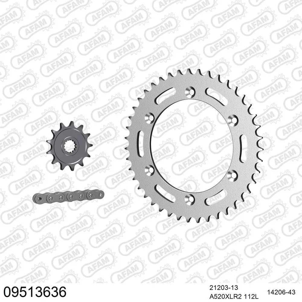 AFAM Kettensatz Stahl 520 XLR2 13x43 - Gasgas SM 125 Supermotard 2002-06 - 09513636