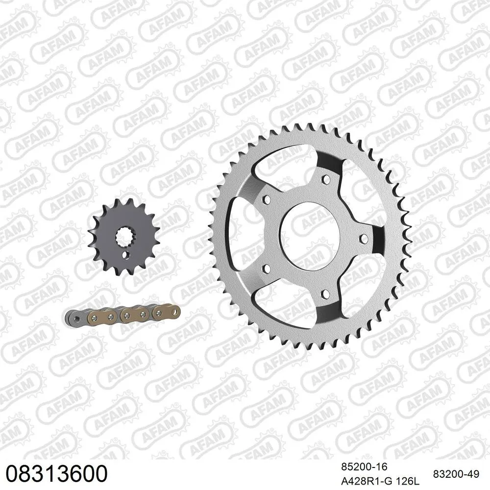 08313600 AFAM Kettensatz Stahl 428 R1-G 16x49 - Mz (muz) RT 125 2001-07 - 08313600