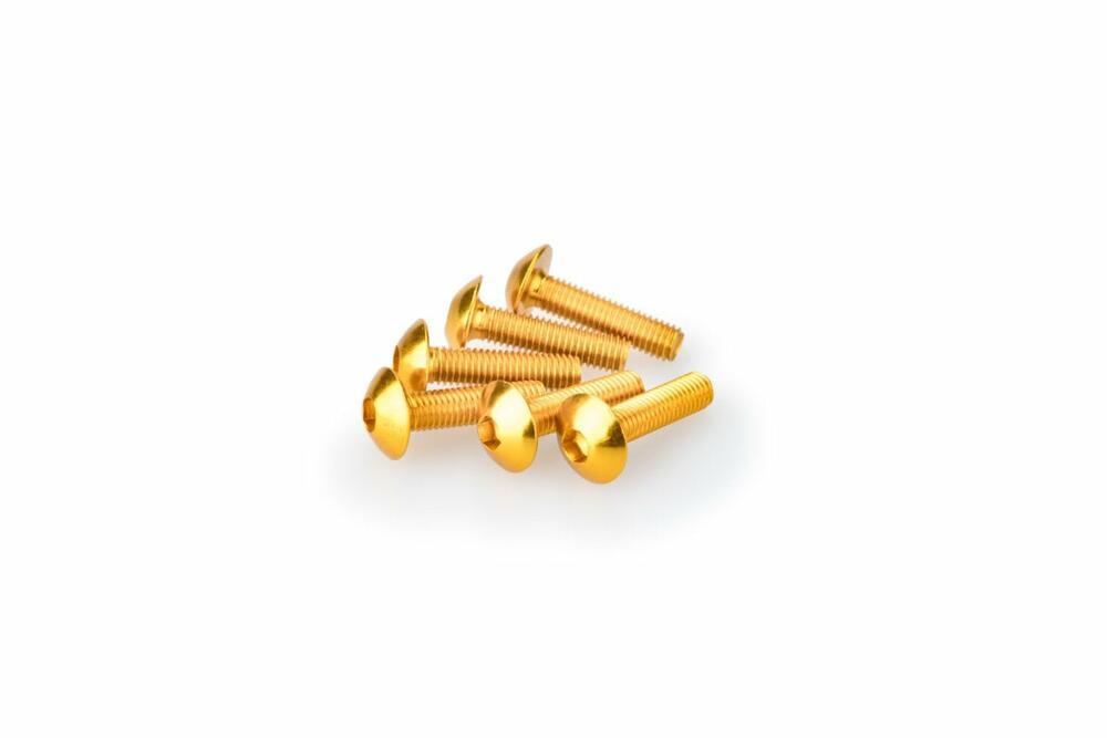 PUIG SCHRAUBEN-KIT (KUPPELFÖRMIG) M5X20MM. GOLD - 0550G