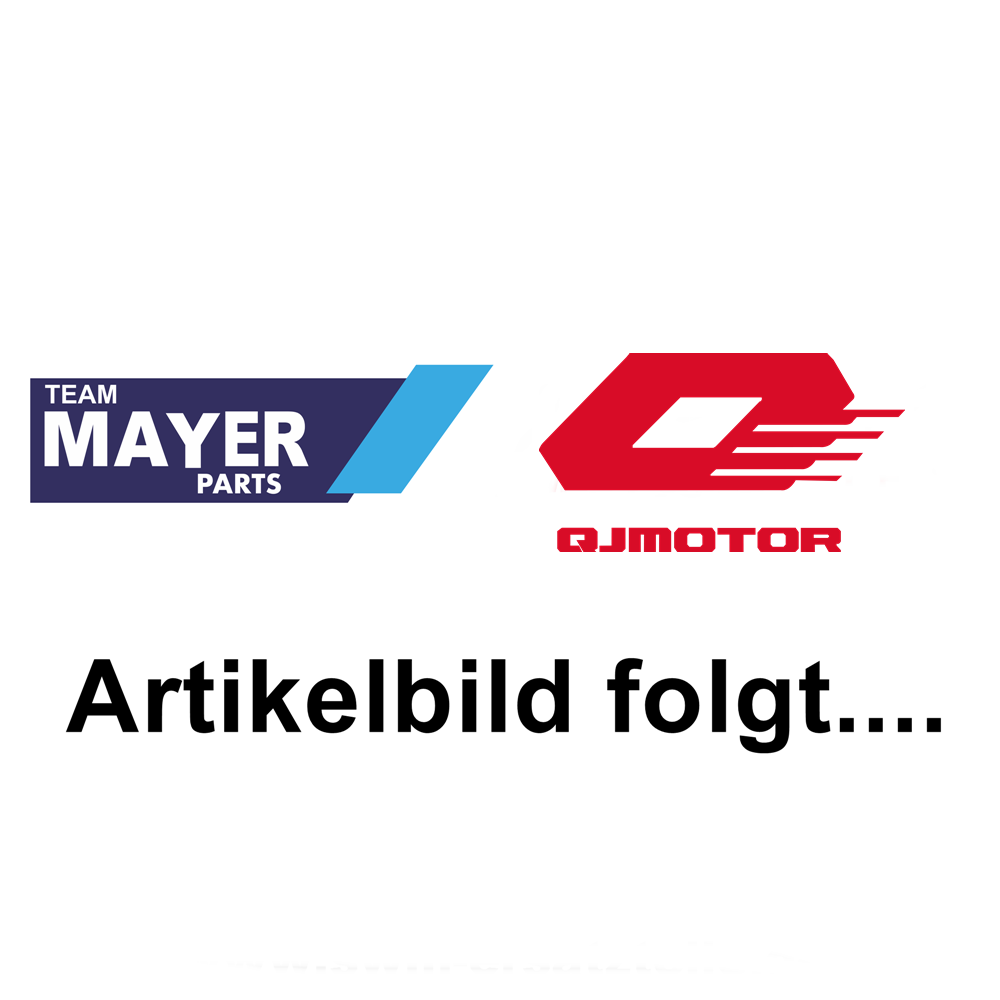 QJ Motor LEFT REARVIEW MIRROR ASSEMBLY - 40450P160101 QJ Motor LEFT REARVIEW MIRROR ASSEMBLY - 40450P160101