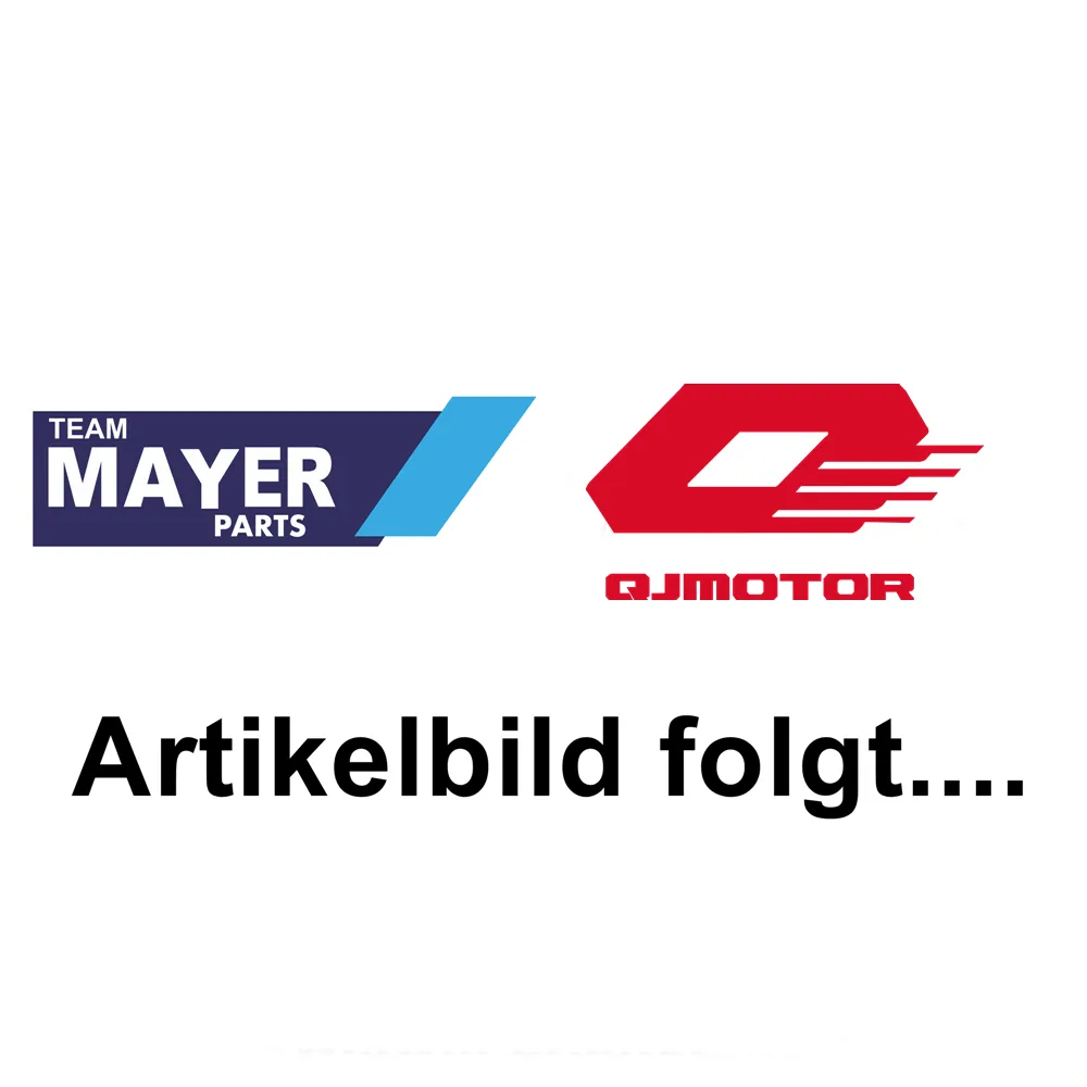 QJ Motor Halterung Steuergerät EPS - 01001W610000