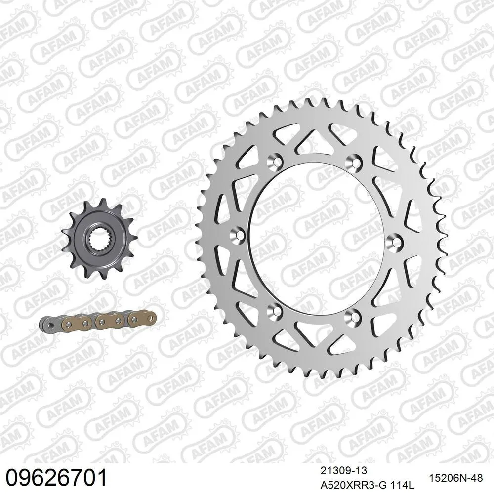 09626701 AFAM Kettensatz Aluminium 520 XRR3-G 13x48 - Gasgas EC 250 F 2013-15 - 09626701