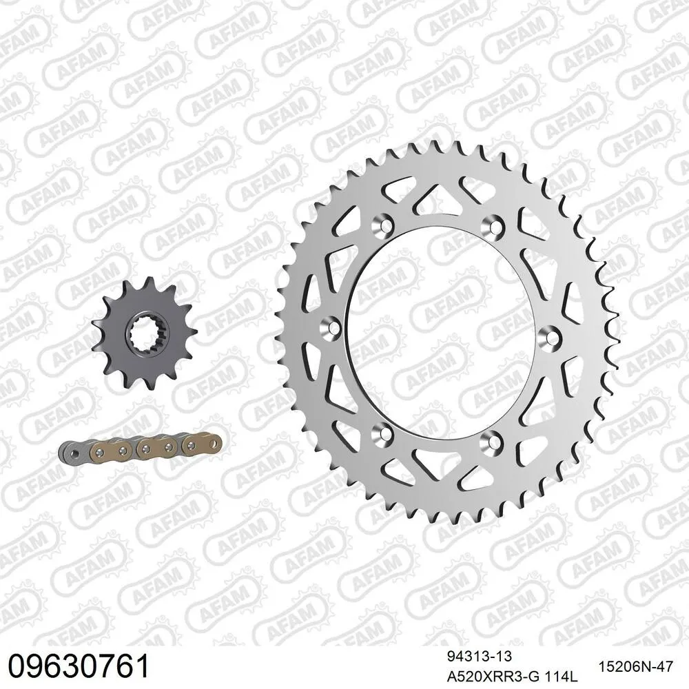 09630761 AFAM Kettensatz Aluminium 520 XRR3-G 13x47 - Gasgas EC 300 2000 - 09630761