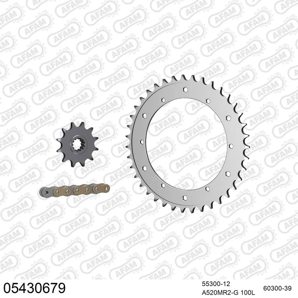 AFAM Kettensatz Aluminium 520 MR2-G 12x39 - Fantic 305 Trial KR0 1989-90 - 05430679