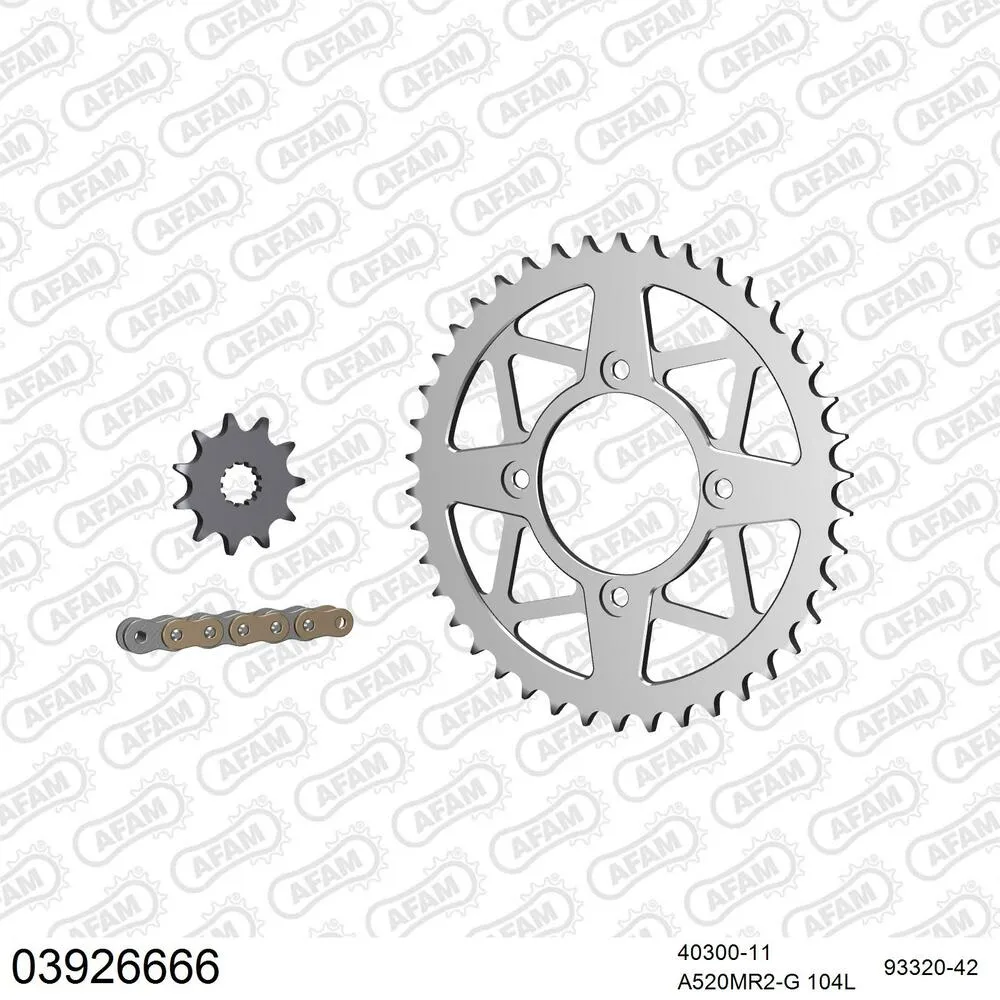 AFAM Kettensatz Aluminium 520 MR2-G 11x42 - Beta Evo 250 2009-19 - 03926666