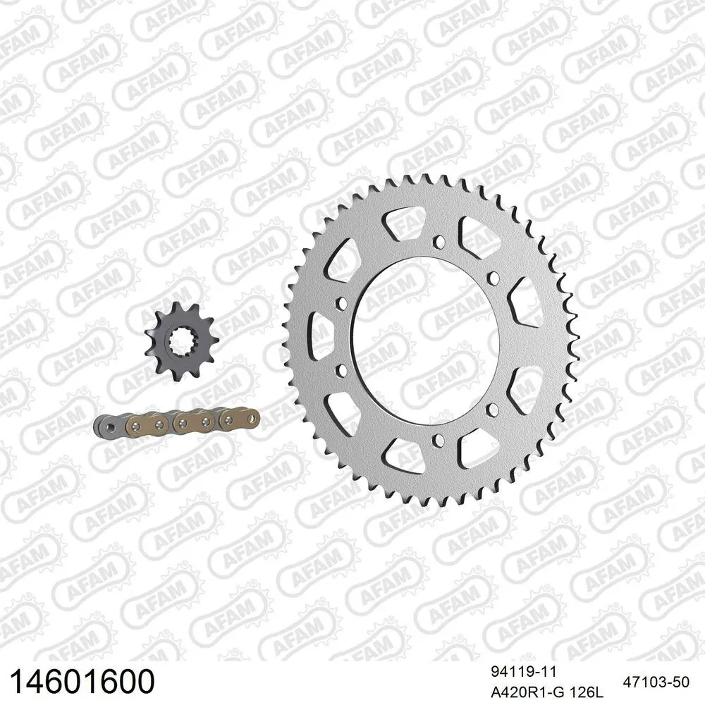 14601600 AFAM Kettensatz Stahl 420 R1-G 11x50 - Malaguti XTM 50 2003-06 - 14601600