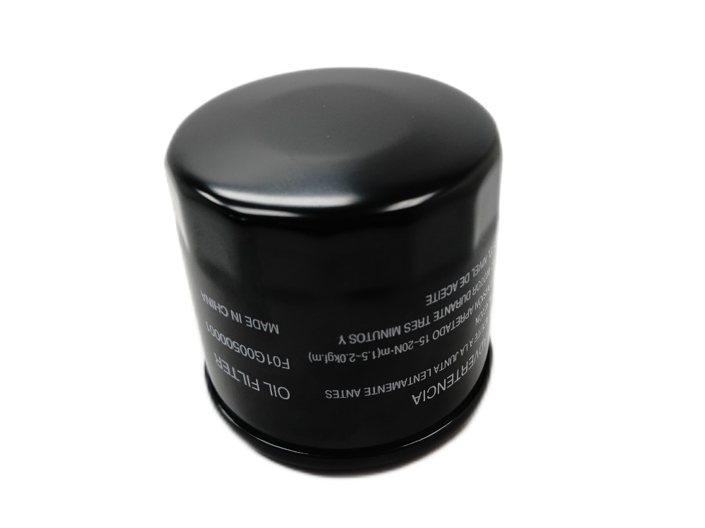 Segway Motor Ölfilter - Snarler AT10 / AT6 / AT5 - F01G00500001