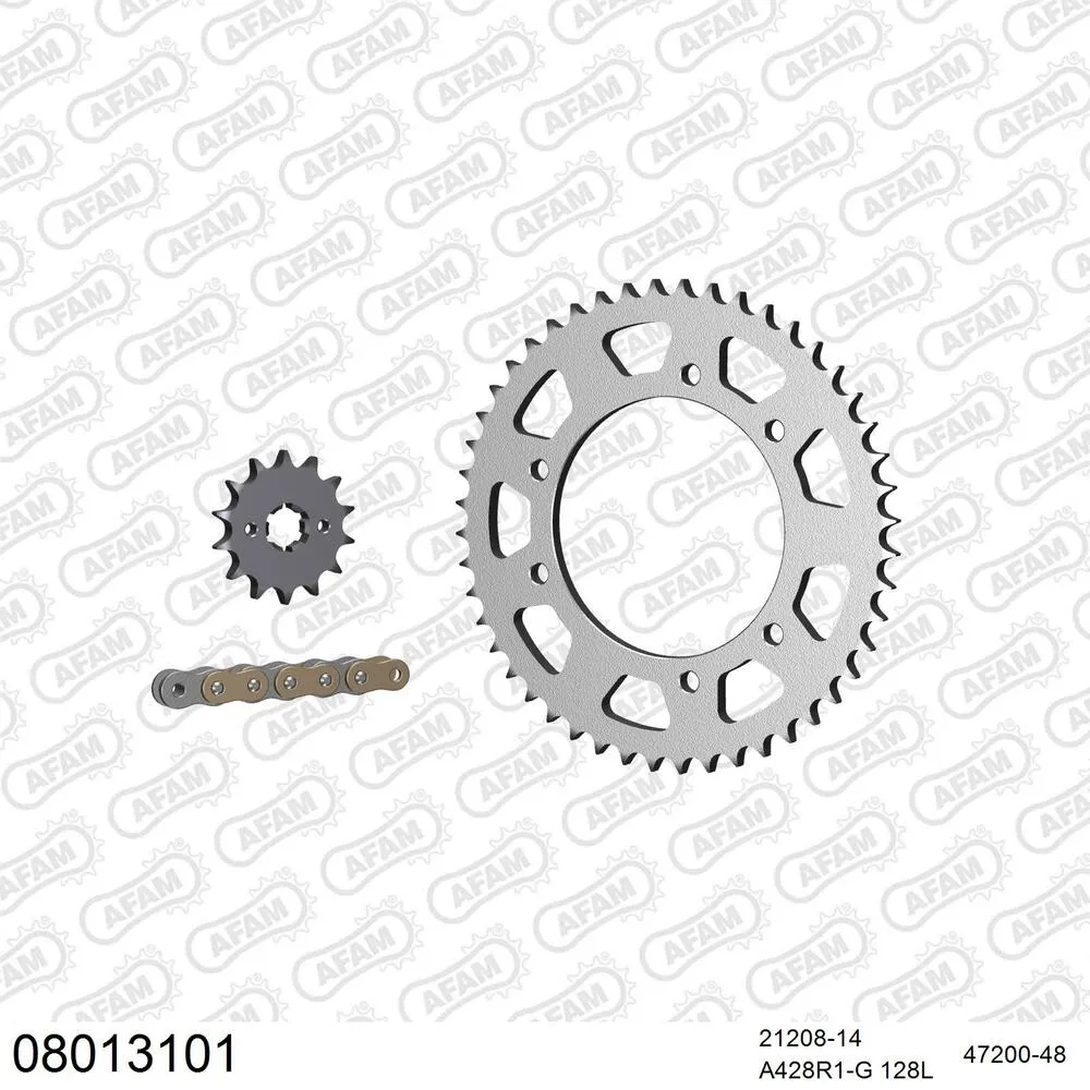 AFAM Kettensatz Stahl 428 R1-G 14x48 - Rieju RS3 125 NKD 2011-21 - 08013101
