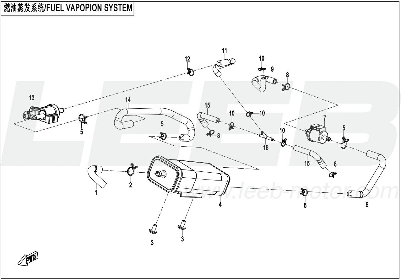 Kraftstoffverdunstungssystem (EVAP) Kraftstoffverdunstungssystem (EVAP)