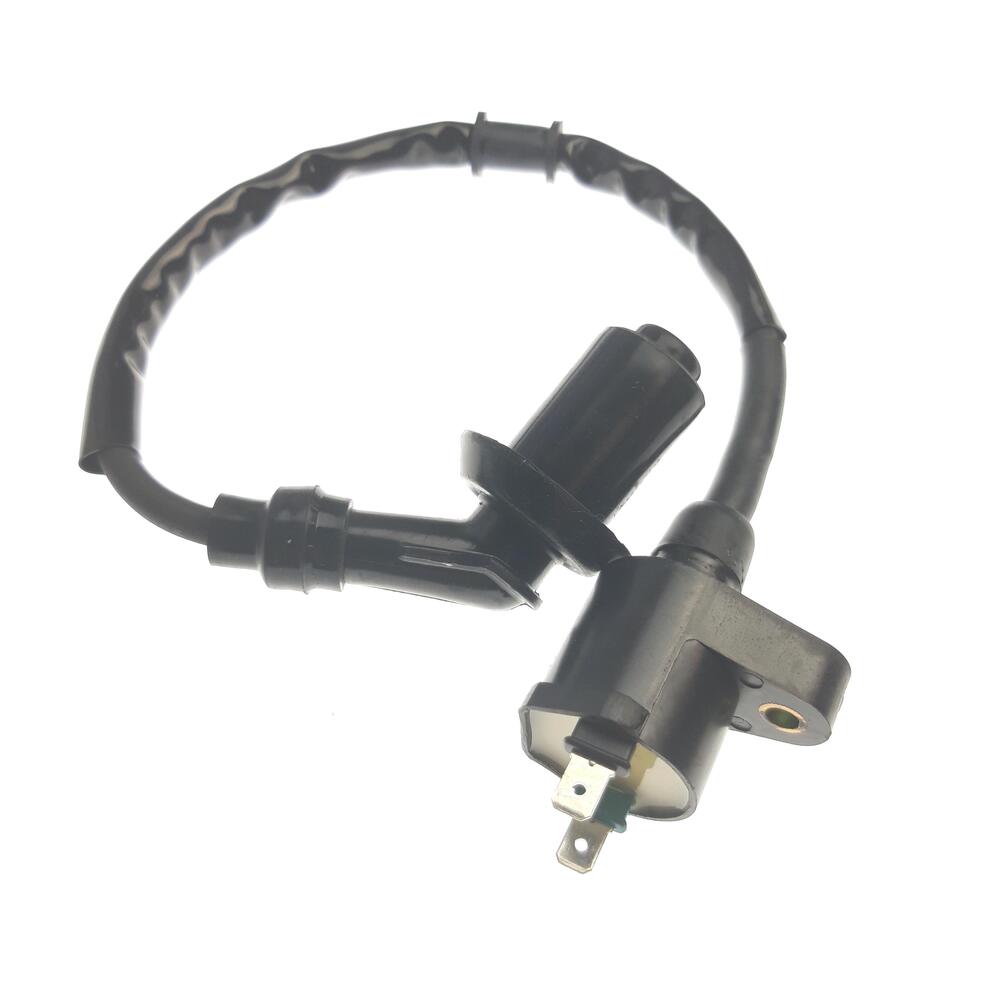 TGB COIL ASSY, IGNITION - 400506