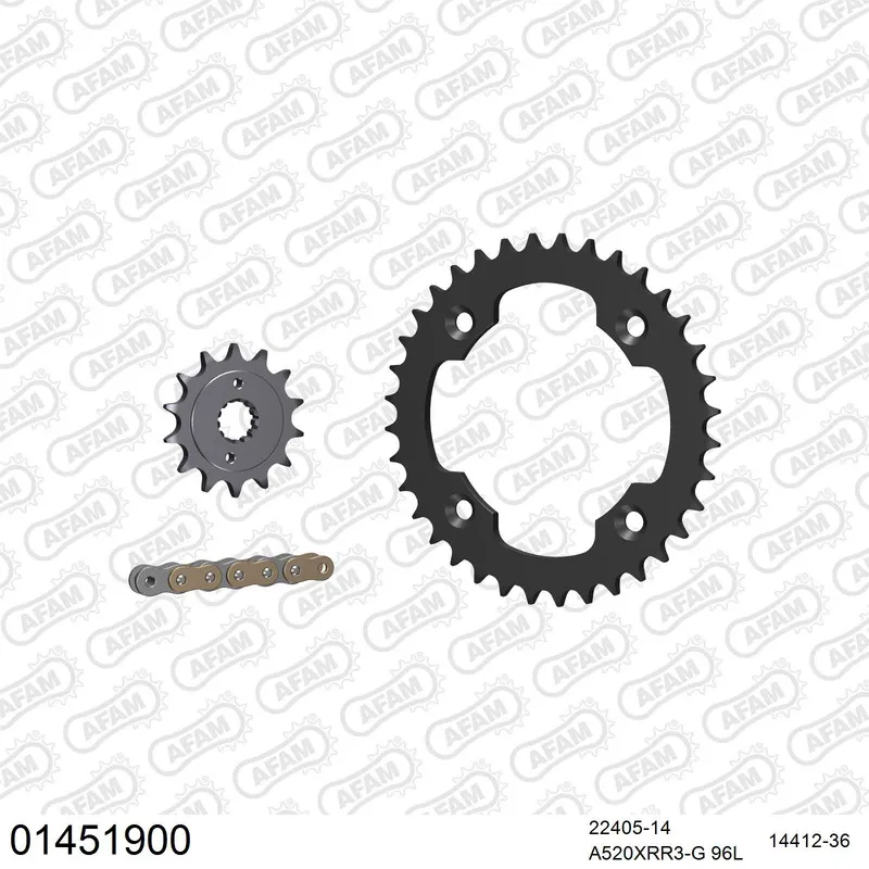 AFAM Kettensatz Stahl 520 XRR3-G 14x36 - Suzuki LT-R 450 Quadracer 2006-07 - 01451900