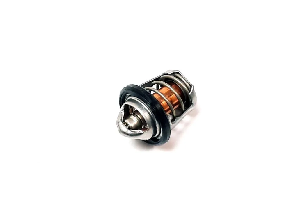 img-20230106-140643 TGB Thermostat - 924294