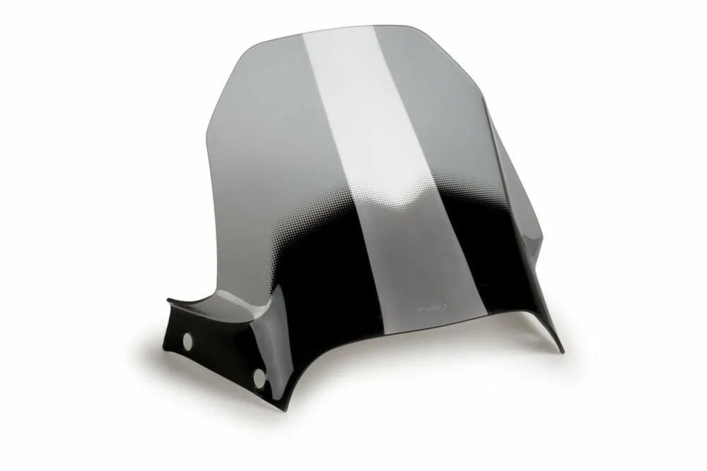 PUIG SPORTSCHEIBE DUCATI DESERT X 22'- C/GETONT - 21448H