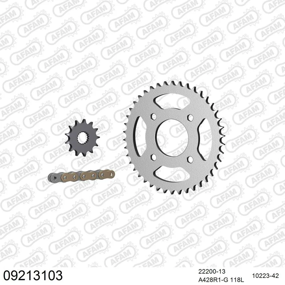 09213103 AFAM Kettensatz Stahl 428 R1-G 13x42 - Mash 125 Scrambler 2014-16 - 09213103