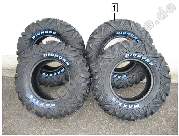 Reifensatz Maxxis Bighorn