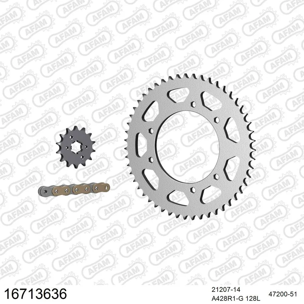 16713636 AFAM Kettensatz Stahl 428 R1-G 14x51 - Mh/motor Hispania 125 Duna Sports City Supermotard 2008-10 -