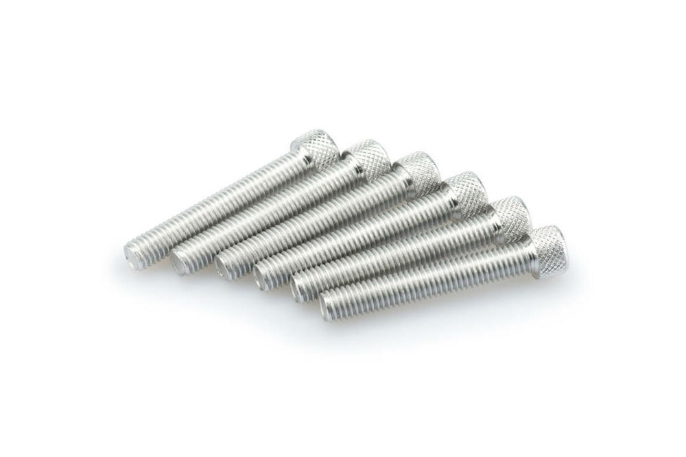 PUIG INBUS-SCHRAUBEN-KIT M8X50MM. SILBER - 0524P