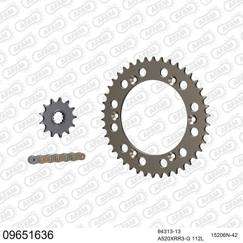 AFAM Kettensatz Aluminium 520 XRR3-G 13x42 - Gasgas SM 450 FSE Supermotard 2003-04 - 09651636