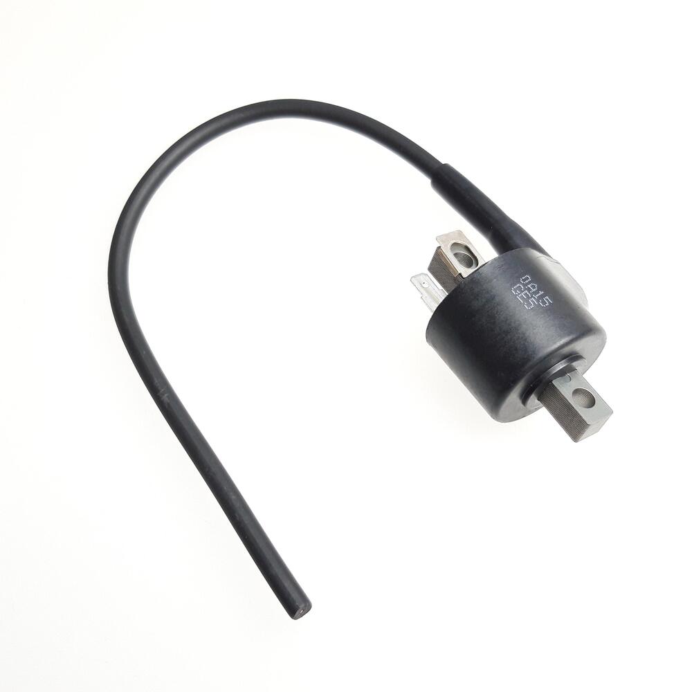 img-20210526-110022 TGB Zündspule lose - GE5139906