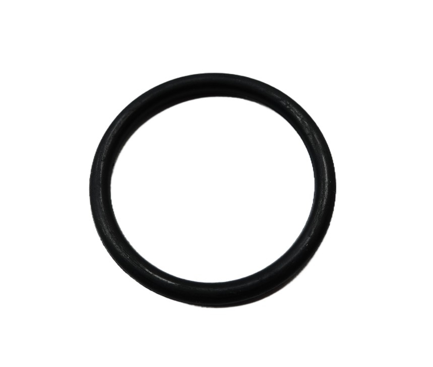 QJ Motor O-Ring - 160023050000