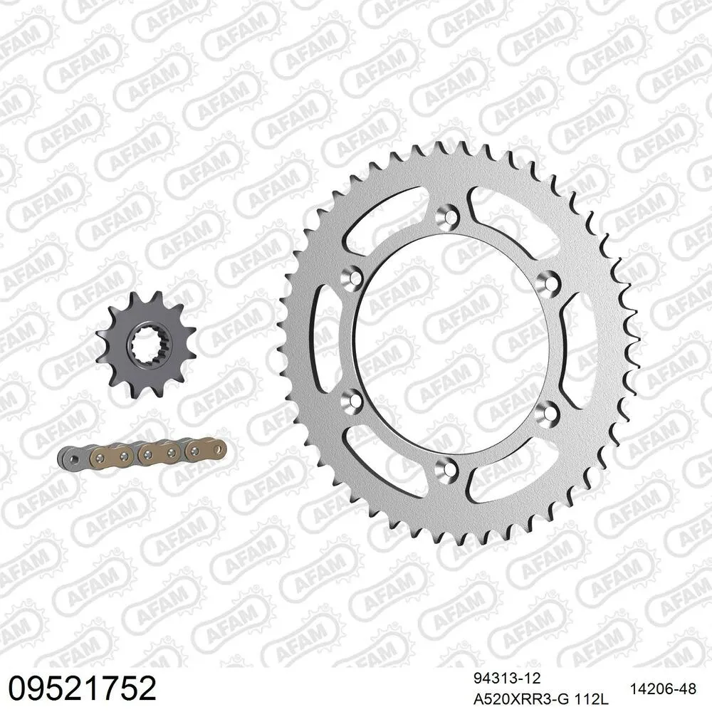 AFAM Kettensatz Stahl 520 XRR3-G 12x48 - Gasgas EC 200 2003-17 - 09521752