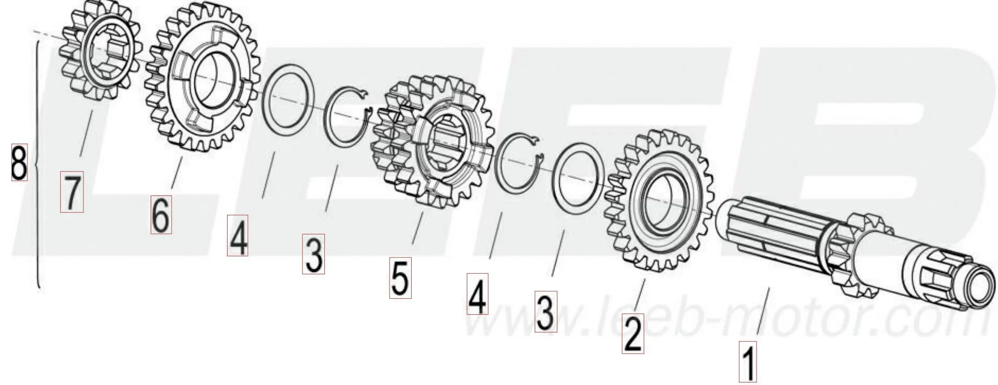Primärwelle Primärwelle