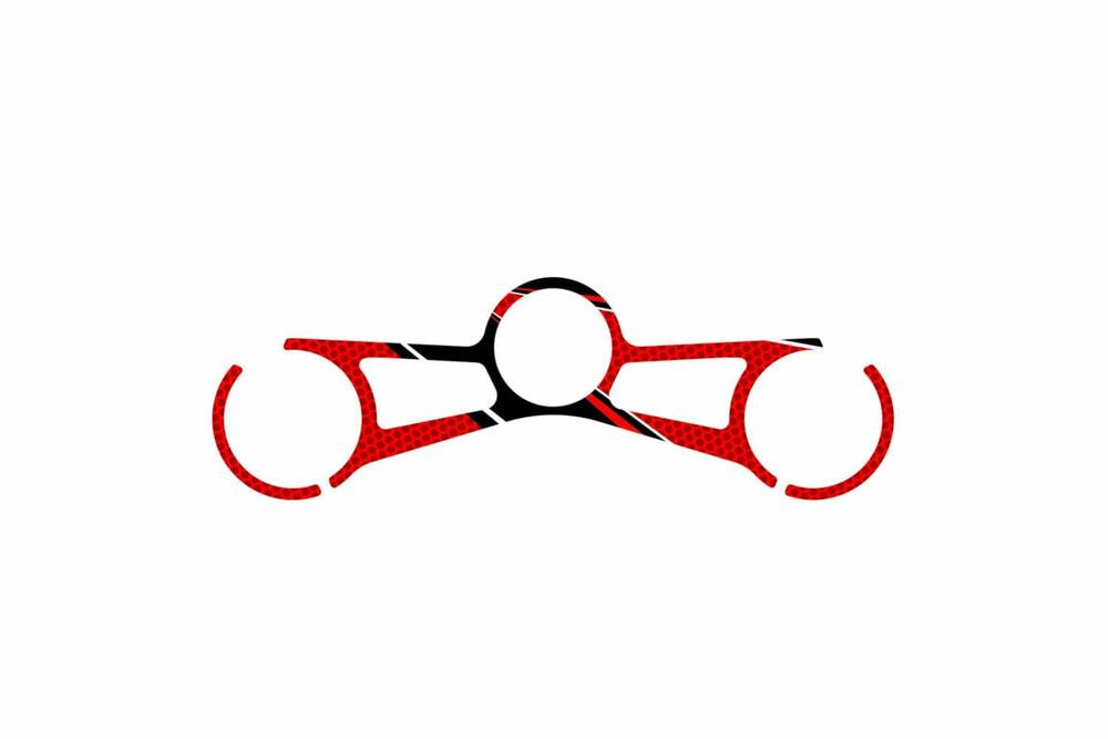 PUIG GABELBRÜCKEN-PROTEKTOR RADIKAL BMW S1000RR 19' C/R - 3710R