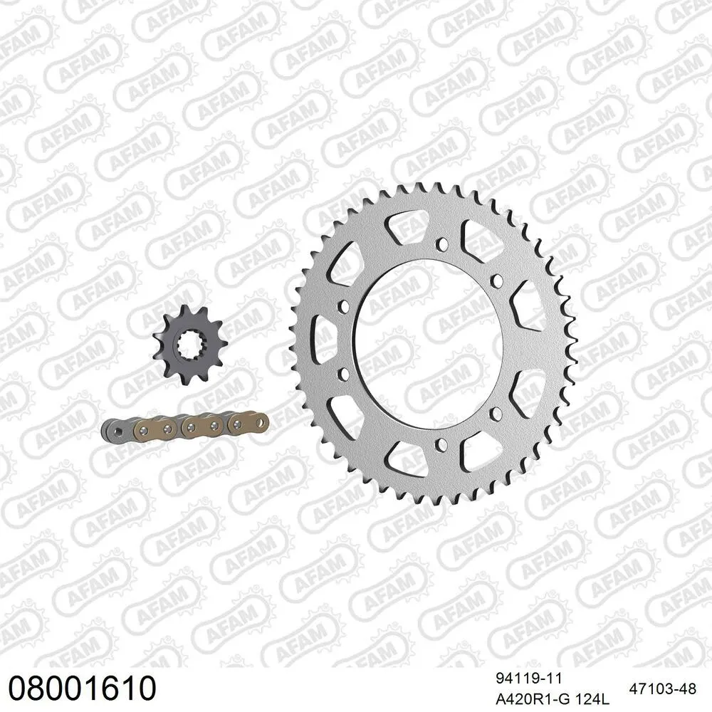 AFAM Kettensatz Stahl 420 R1-G 11x48 - Rieju MRX 50 2003-04 - 08001610